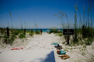 St. George Island Florida